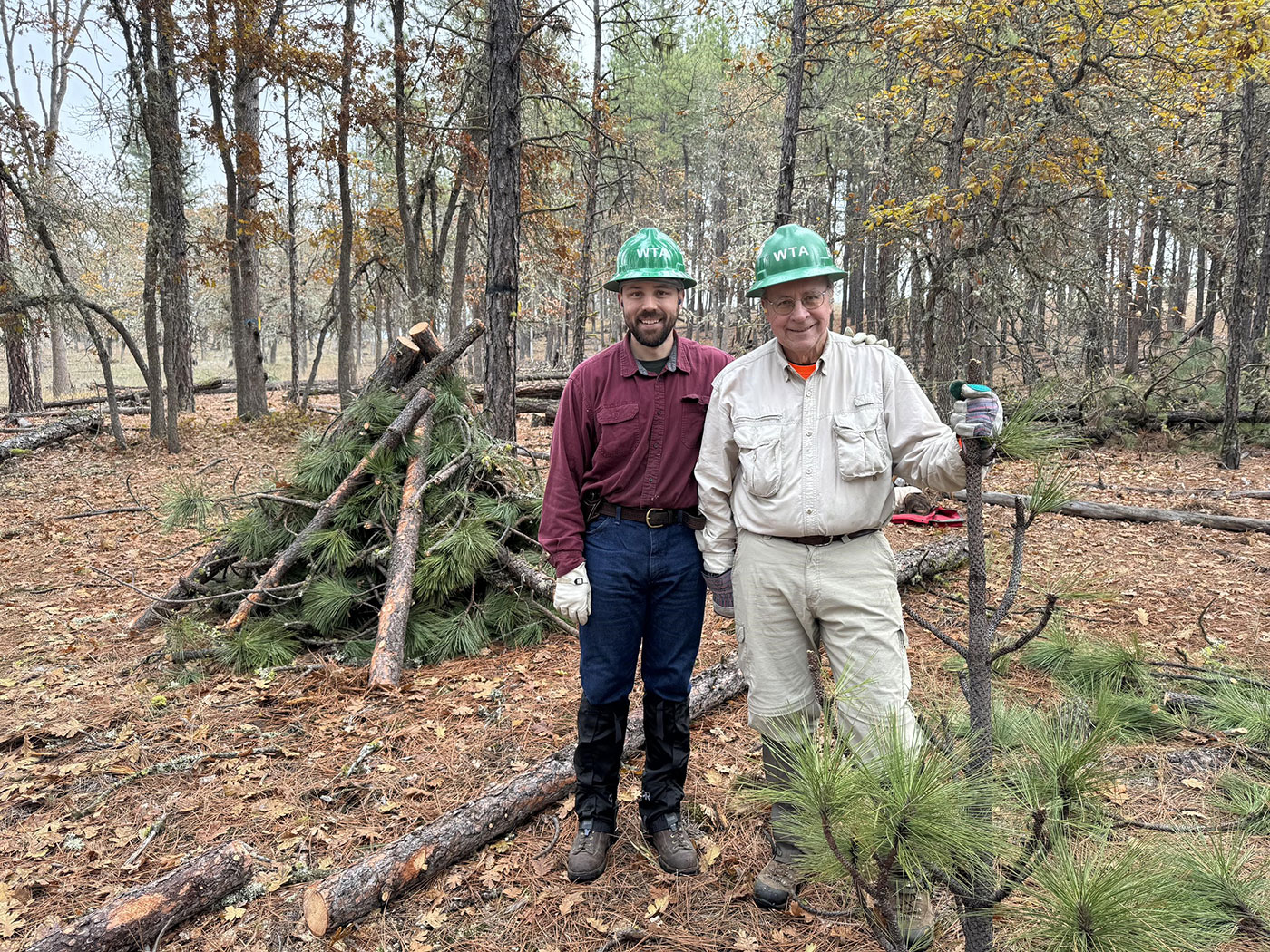 Photo of workers in the forest.