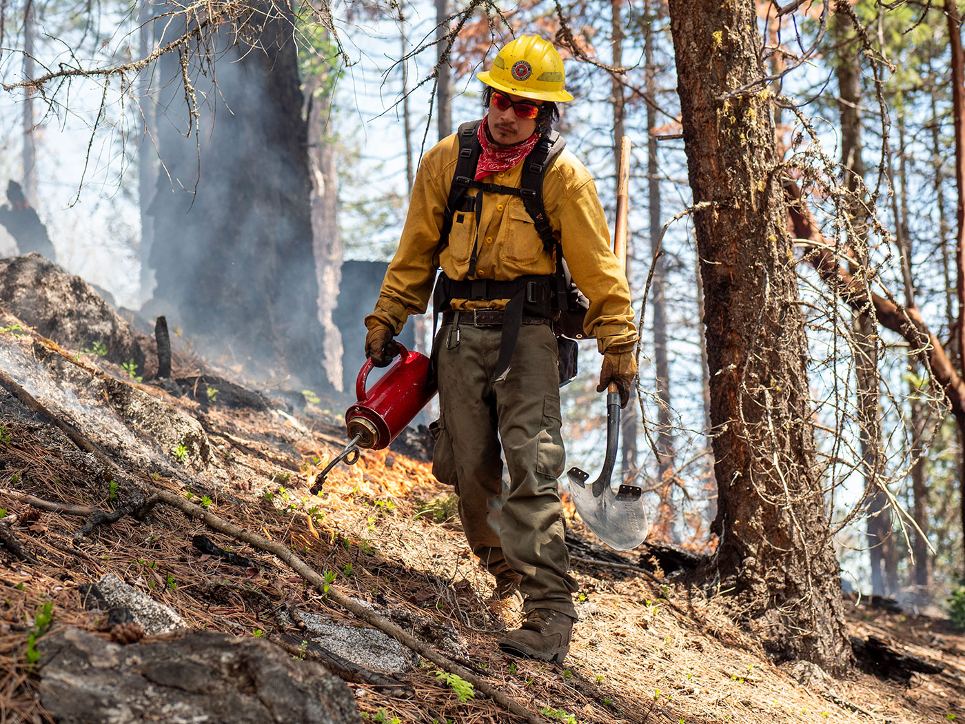 Photo of worker working on prescribed burns.