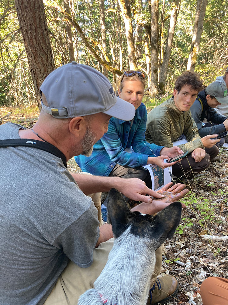 Photo of workers working in the field.