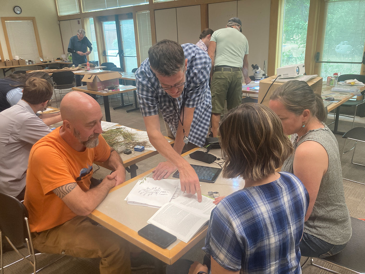 People collaborating