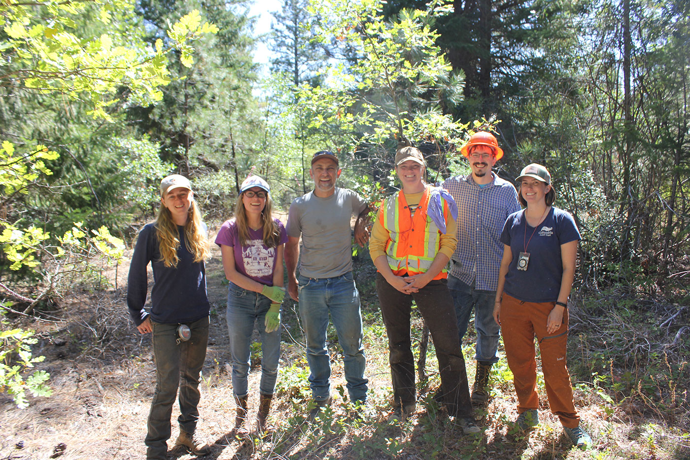 Photo of workers in forest.