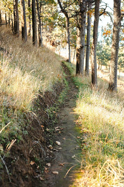 Photo of Lyle Cherry Orchard trail.