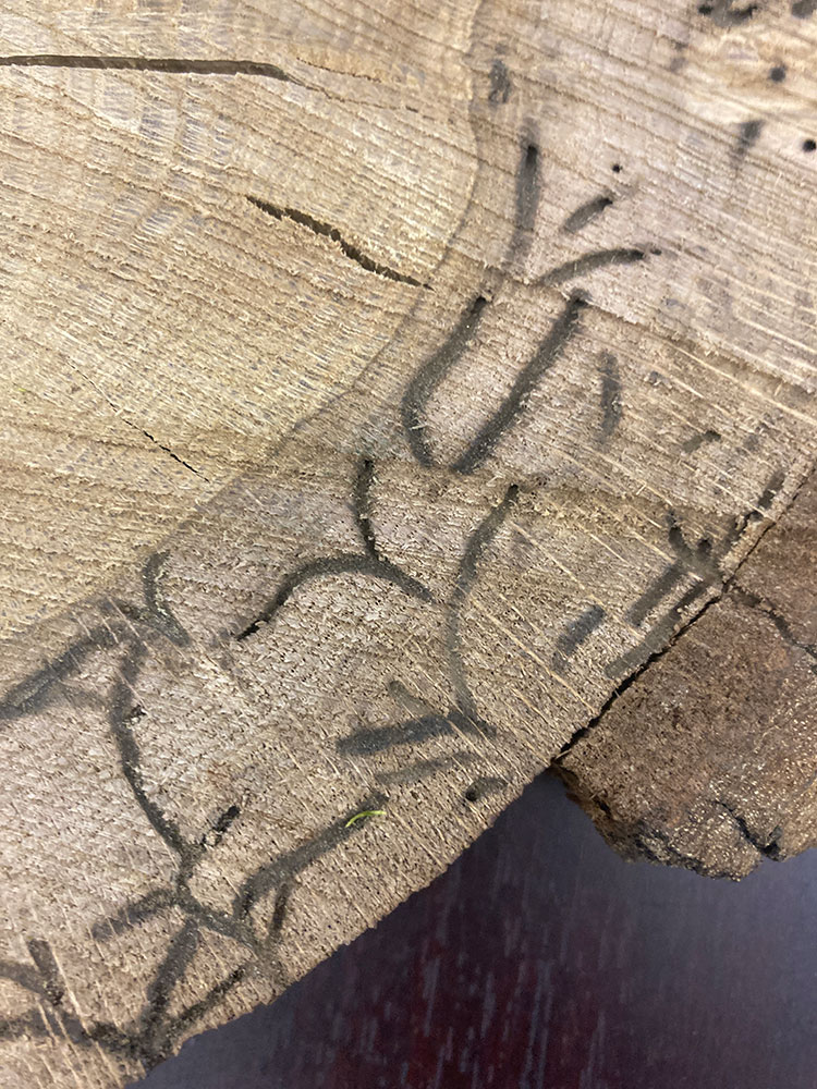 Photo of mosaic tunnels.