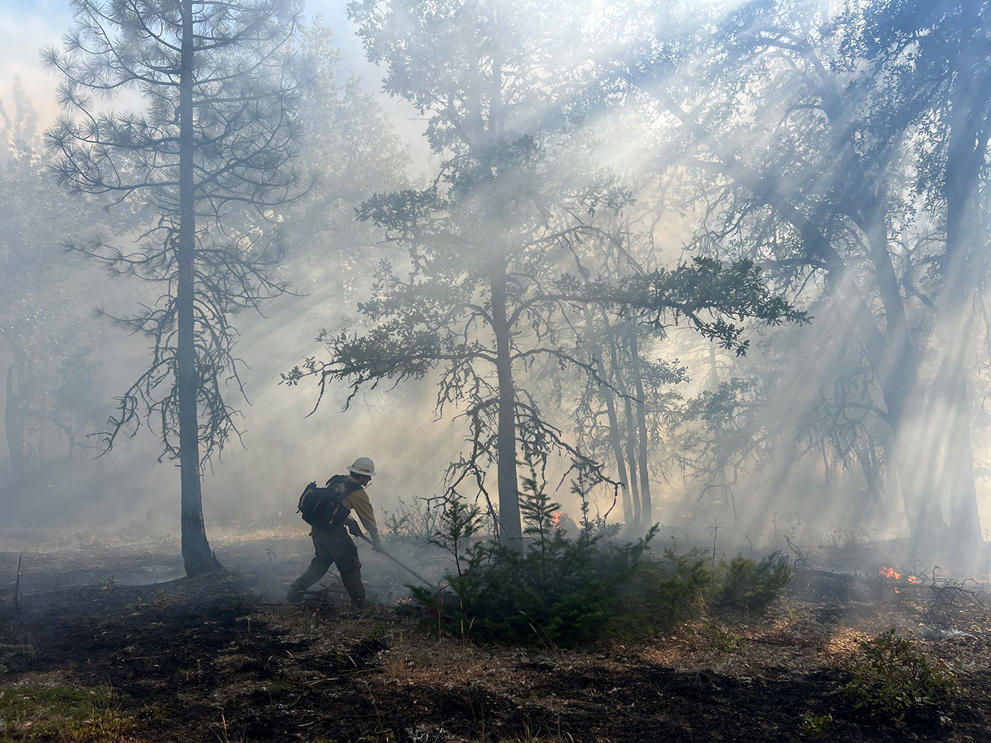 A firefighter in protective gear works to control a smoky wildfire in a forest, surrounded by trees and filtered sunlight streaming through the haze.