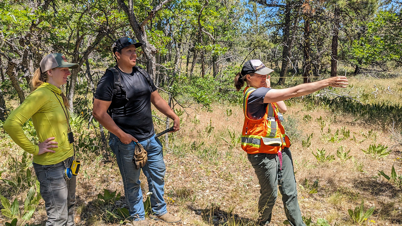 Three people stand outdoors in a sunny, wooded area. One person in an orange vest gestures forward, while the other two, wearing caps, observe and listen. Trees and dry grass fill the background.