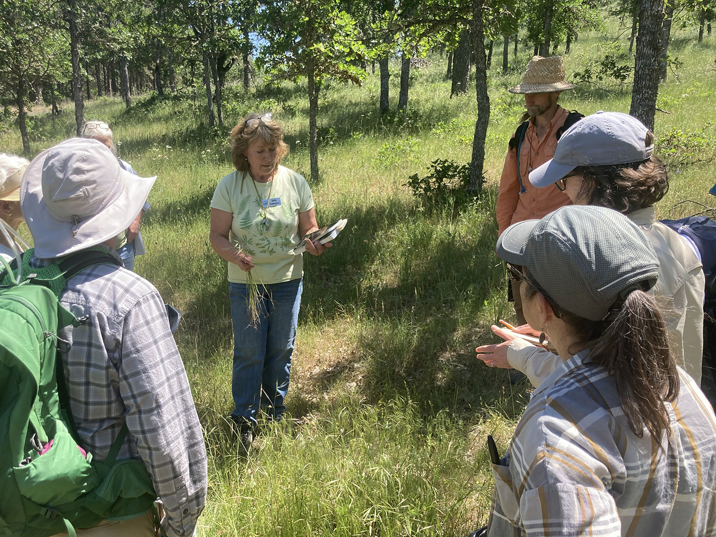 A woman stands in a sunlit forest clearing holding plants and a book, while a group of people in hats and outdoor clothing gather around her, listening attentively.