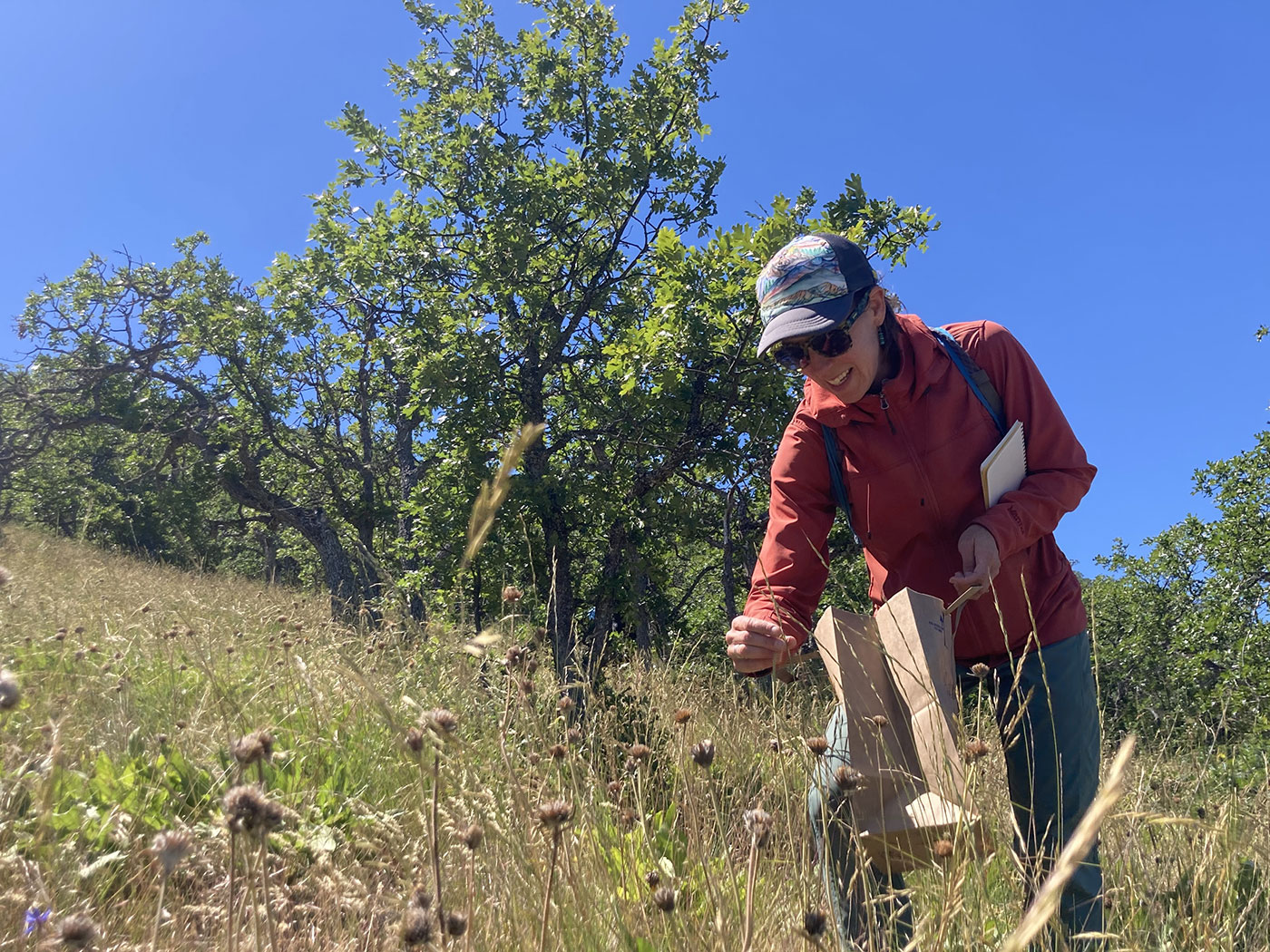 Photo of worker seeding.