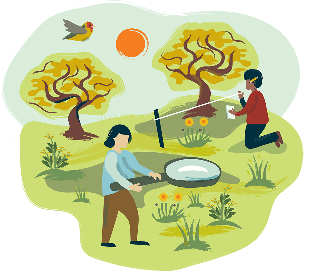 Vignette-Monitor-web