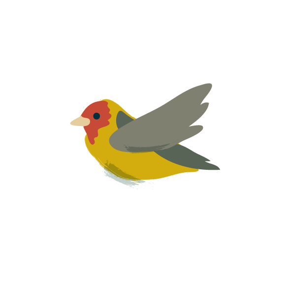 Illustration of bird.