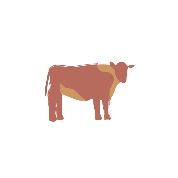 Illustration of cow.