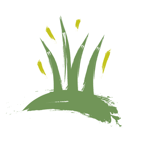 Illustration of grasses.