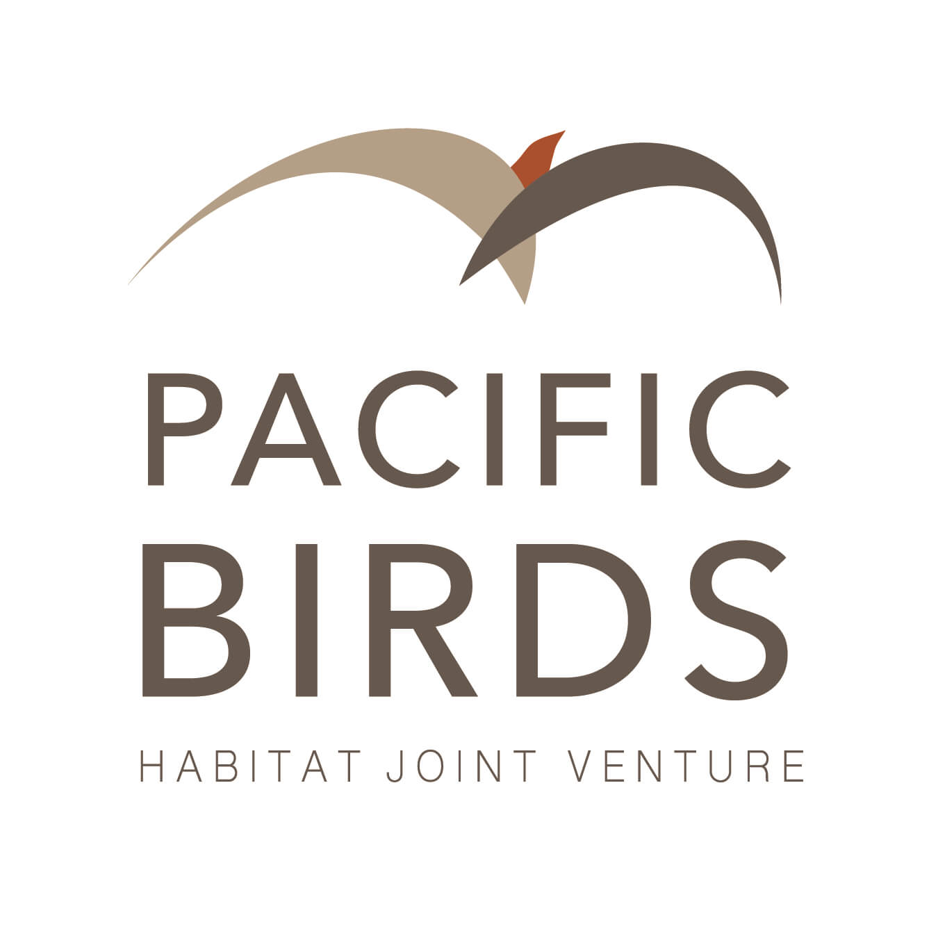 logo-Pacific-Birds logo-Pacific-Birds