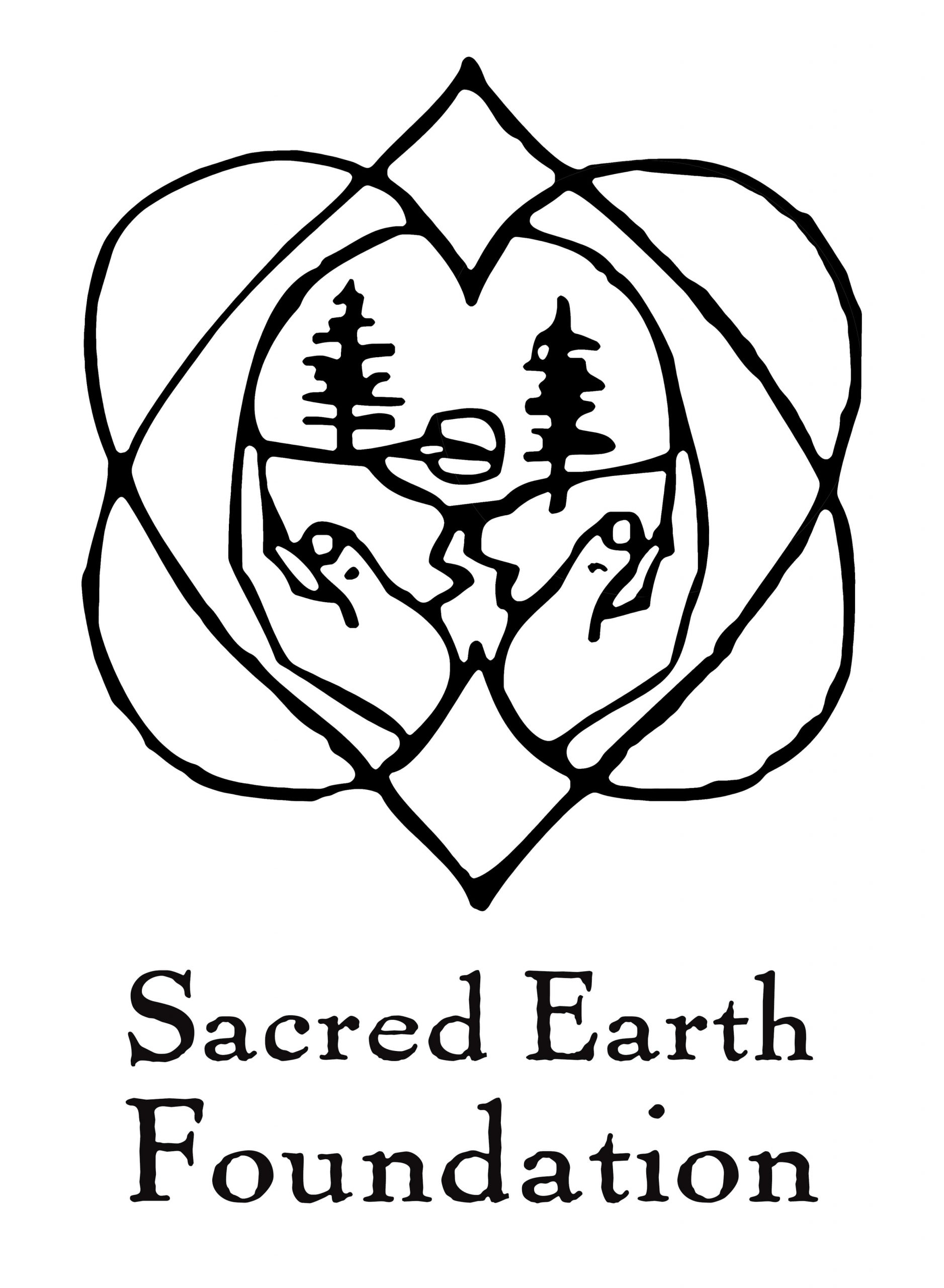 logo-SEF logo-SEF
