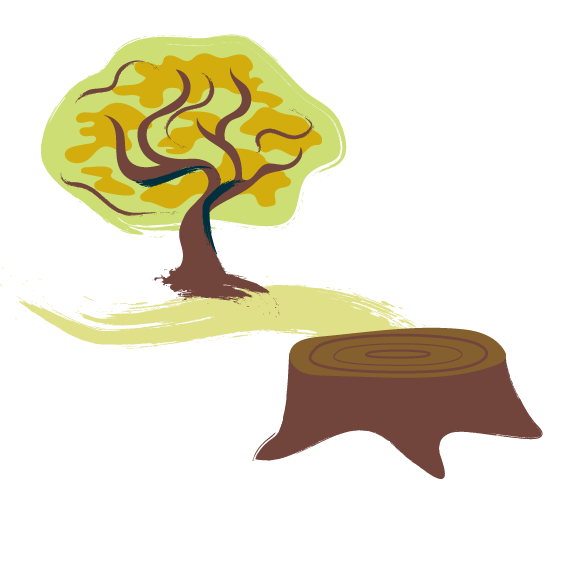Illustration of tree and cut trunk.