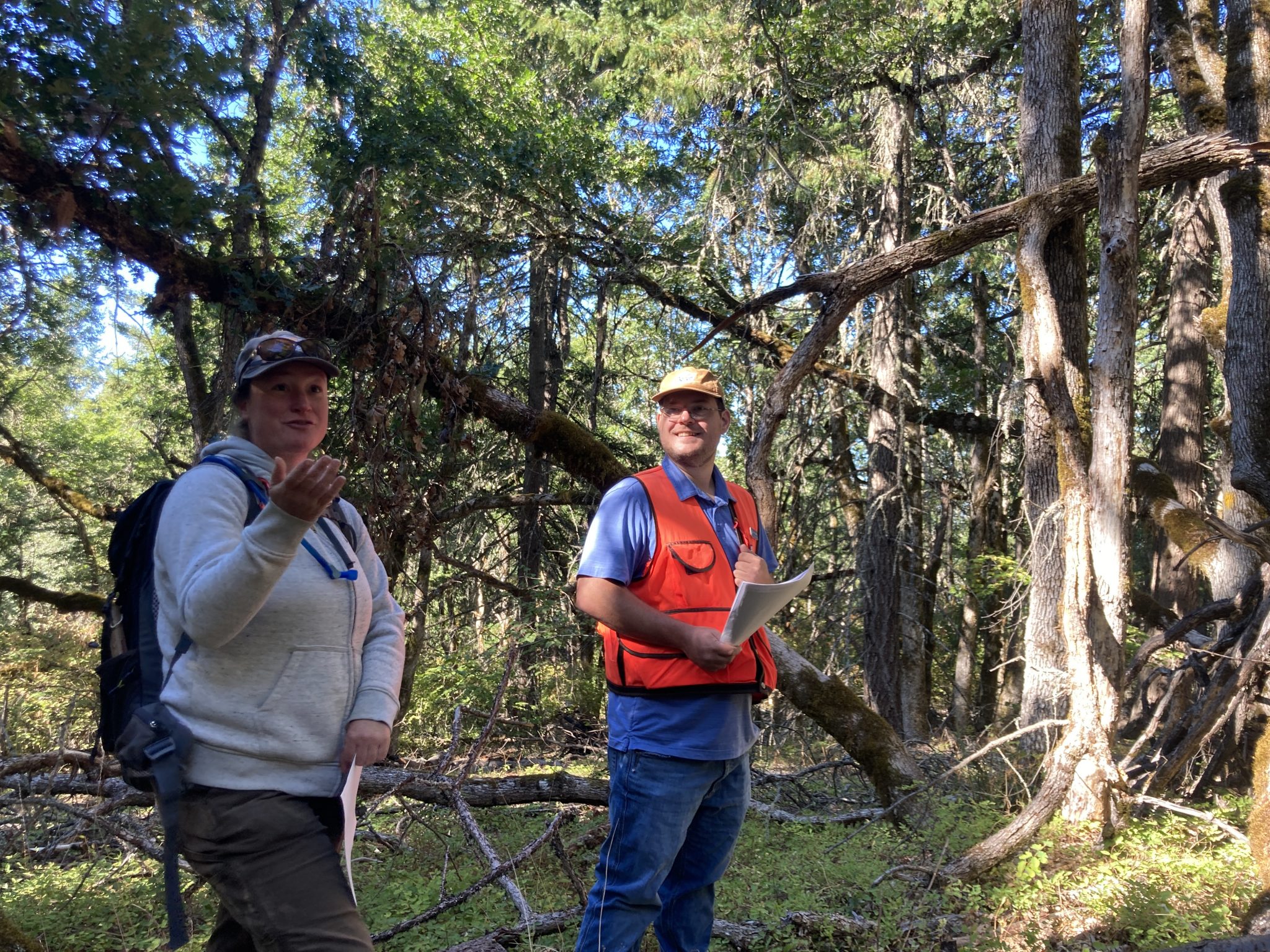 Two Department of Natural Resource employees standing in front of oak trees