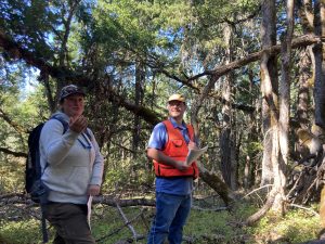 Two Department of Natural Resource employees standing in front of oak trees