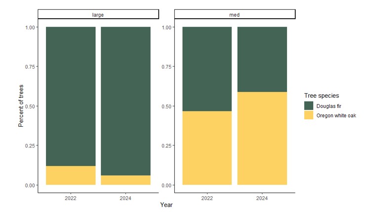 Graph showing distribution of oaks and douglas fir before and after treatment. Reach out to oaks@ColumbiaLandTrust.org for a written summary of the data.