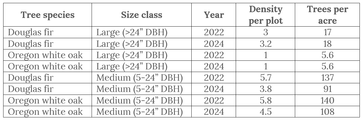 A table showing the monitored trees, their size, the year they were measured, and other data. Reach out to oaks@ColumbiaLandTrust.org for a written summary of the data.
