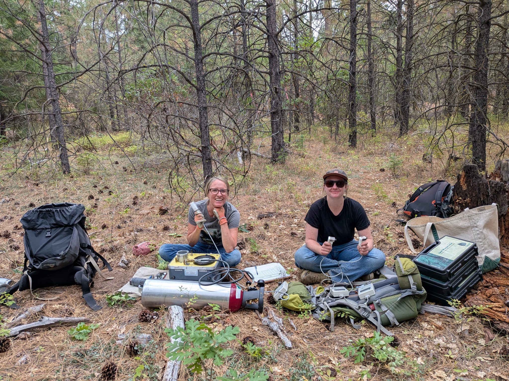 Two researchers sitting on the ground in an oak woodland use machines to test oak leaf samples.