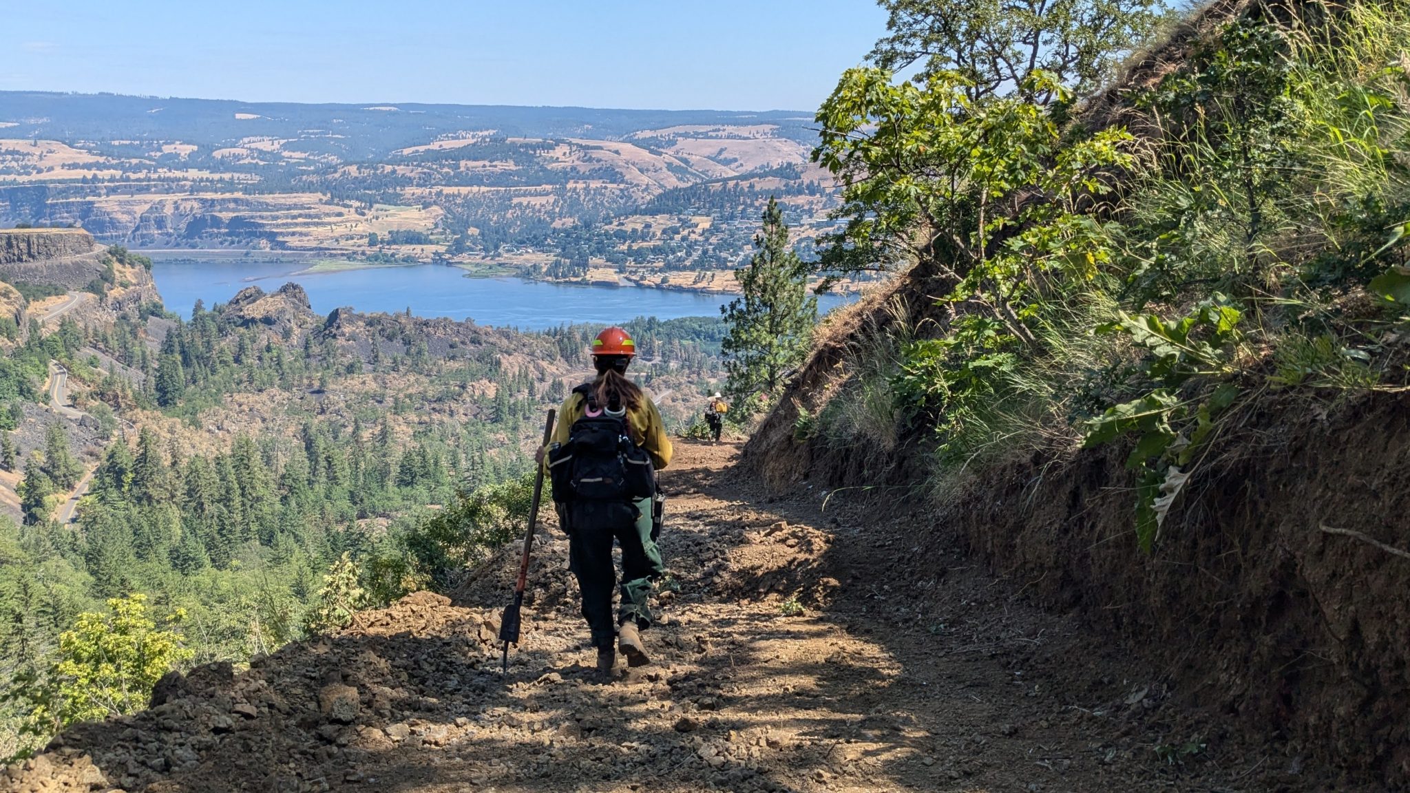 A wildland firefighter walks through an oak woodland that burned in a wildfire in June 2025.