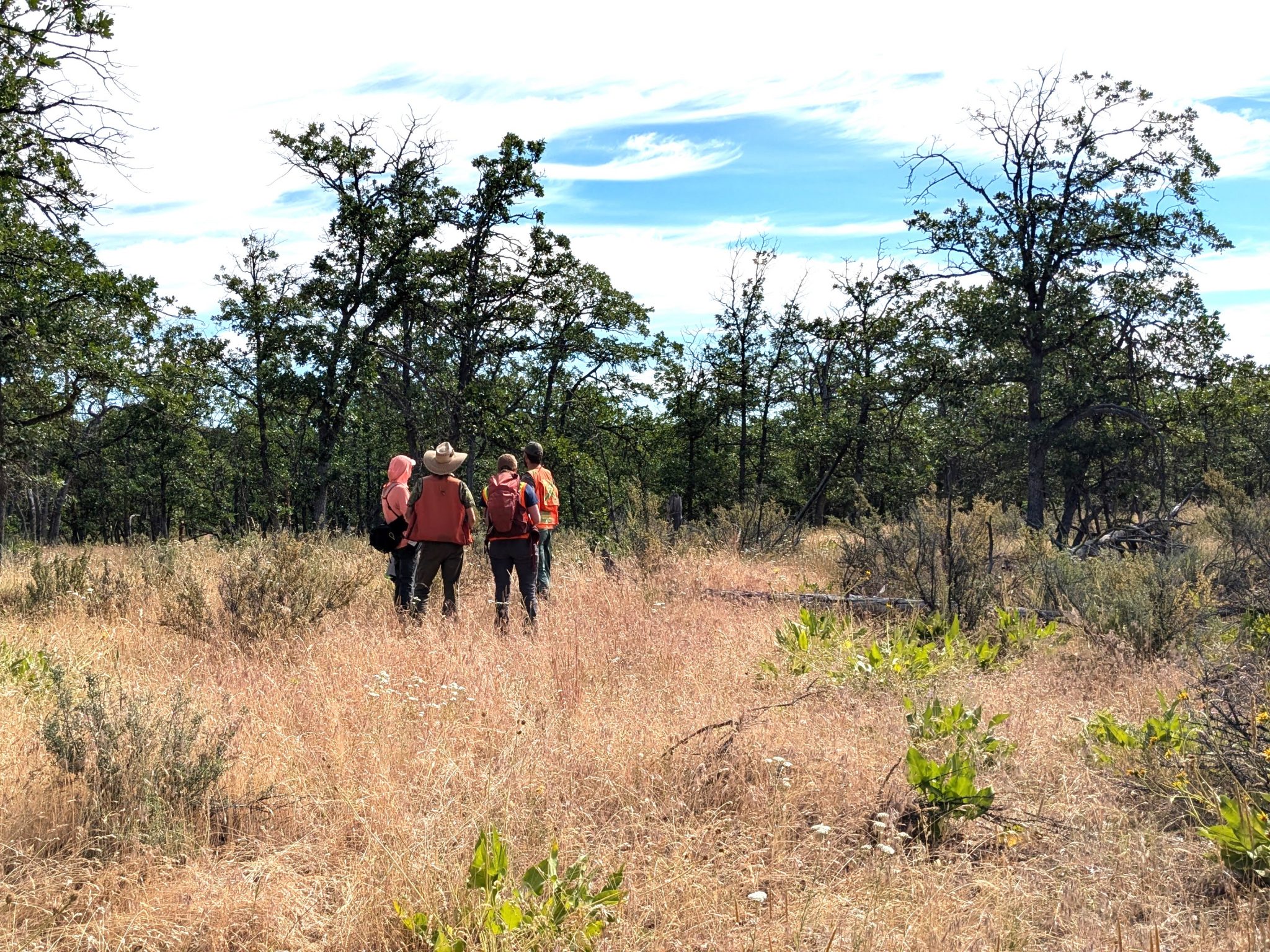 CAT_training_WRWA_June2024