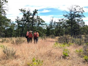 CAT_training_WRWA_June2024