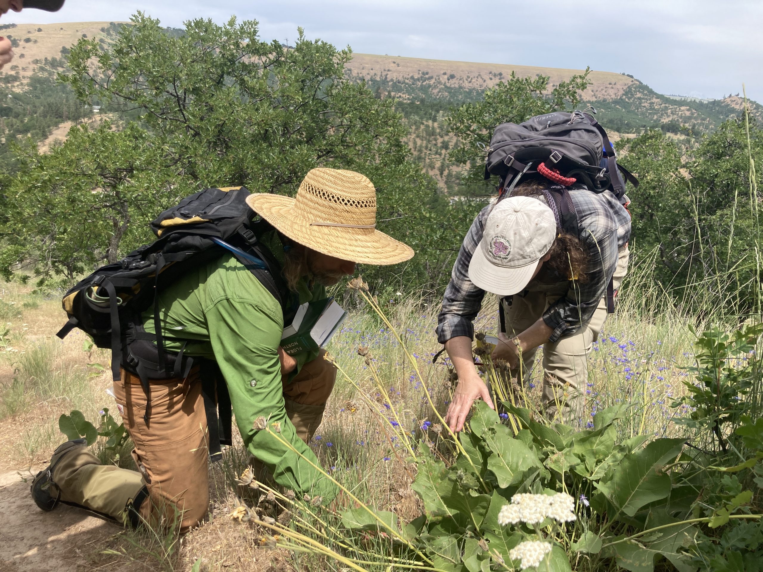 Brance&Christina_WildflowerPhenologyWalk_MillCreekRidge_June2023