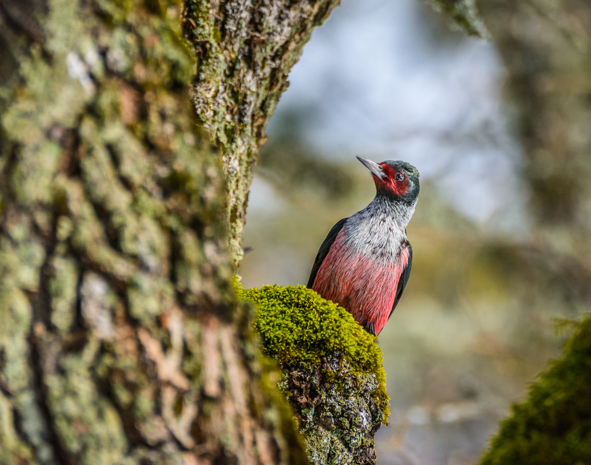 image by John Davis