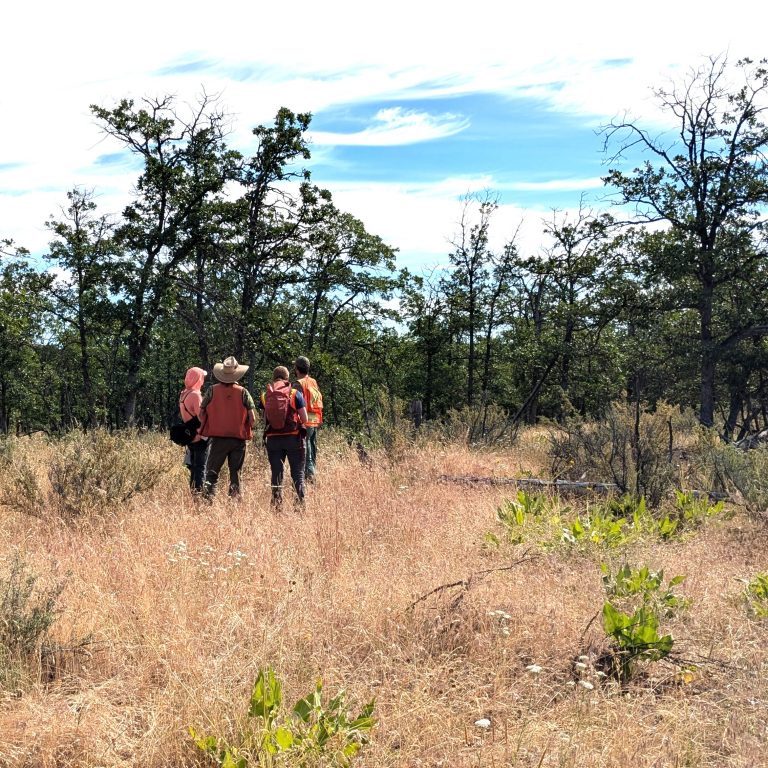 CAT_training_WRWA_June2024