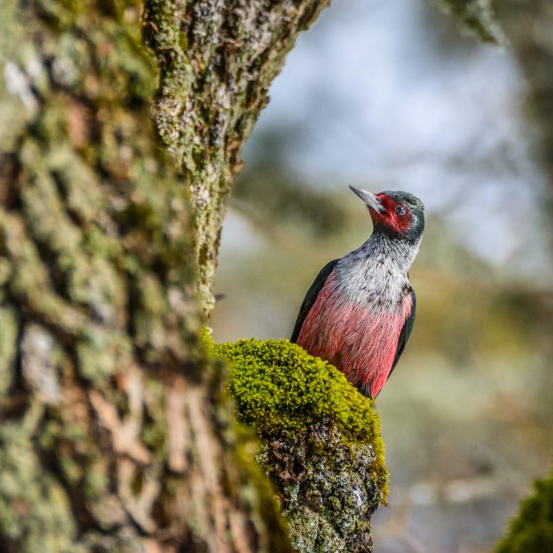image by John Davis