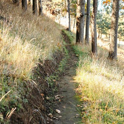 Photo of Lyle Cherry Orchard trail.