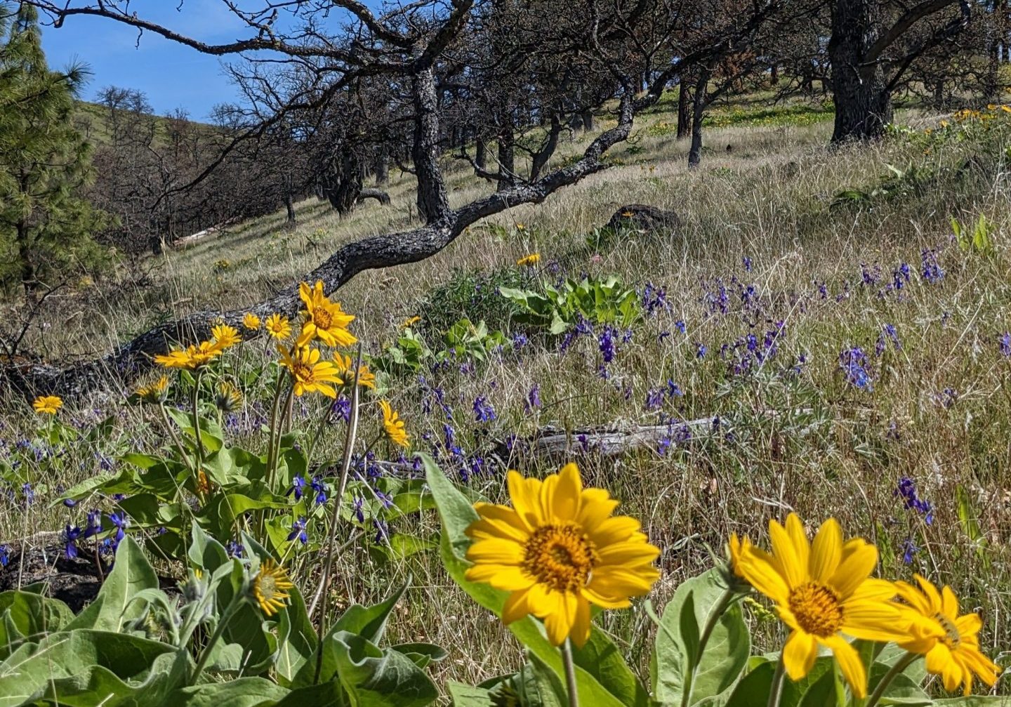 PXL_20230427_174606376