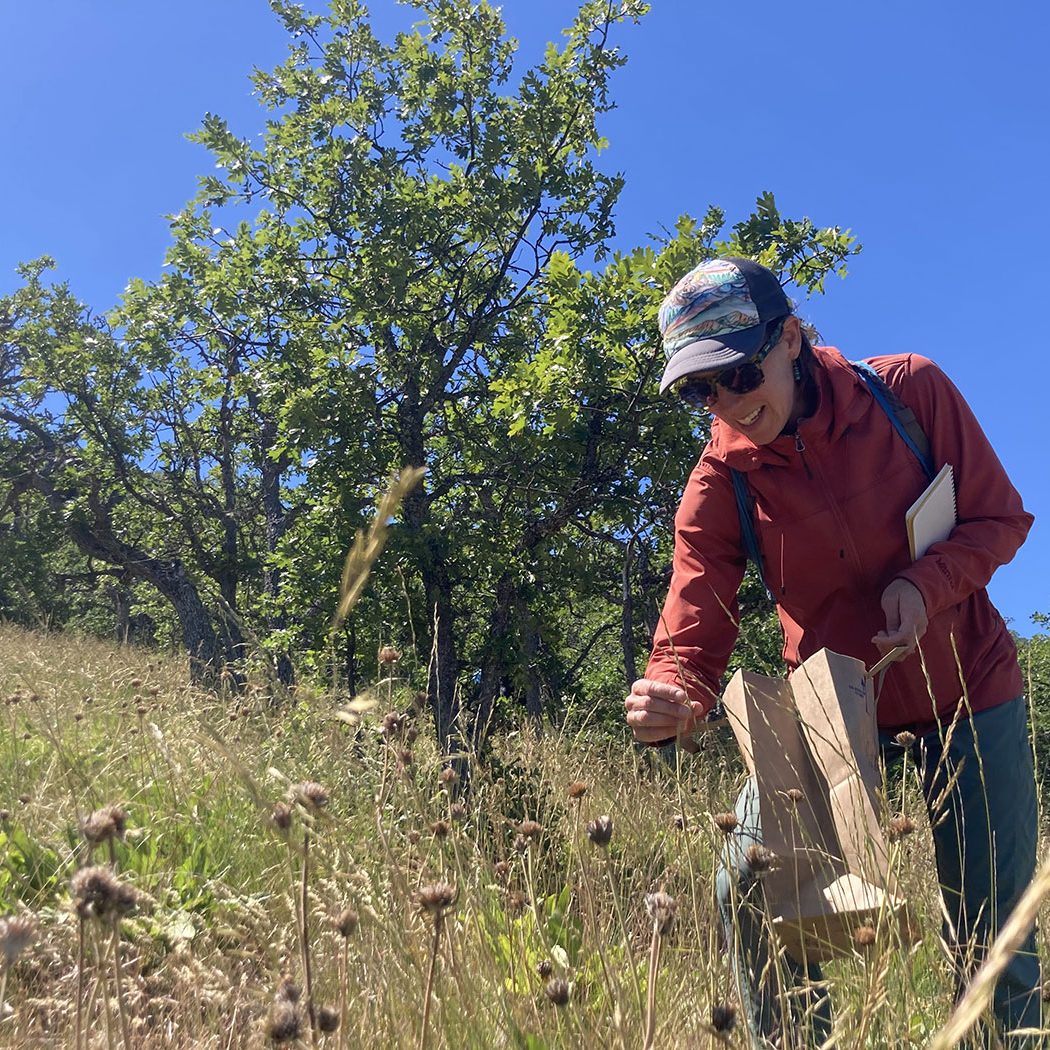 Photo of worker seeding.