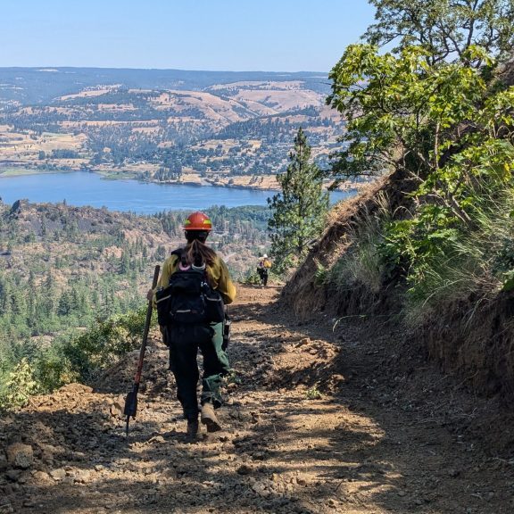 A wildland firefighter walks through an oak woodland that burned in a wildfire in June 2025.