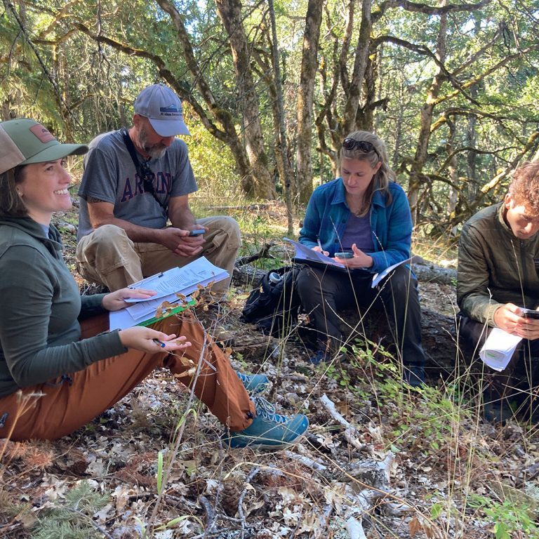 Photo of workers working in the field.