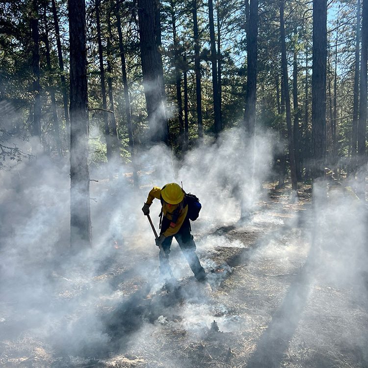 Photo of worker clearing in a smokey forest.