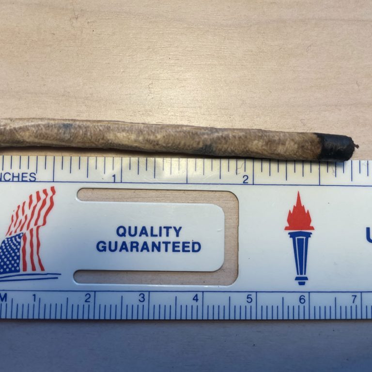 Photo of oak core and ruler for measurement.