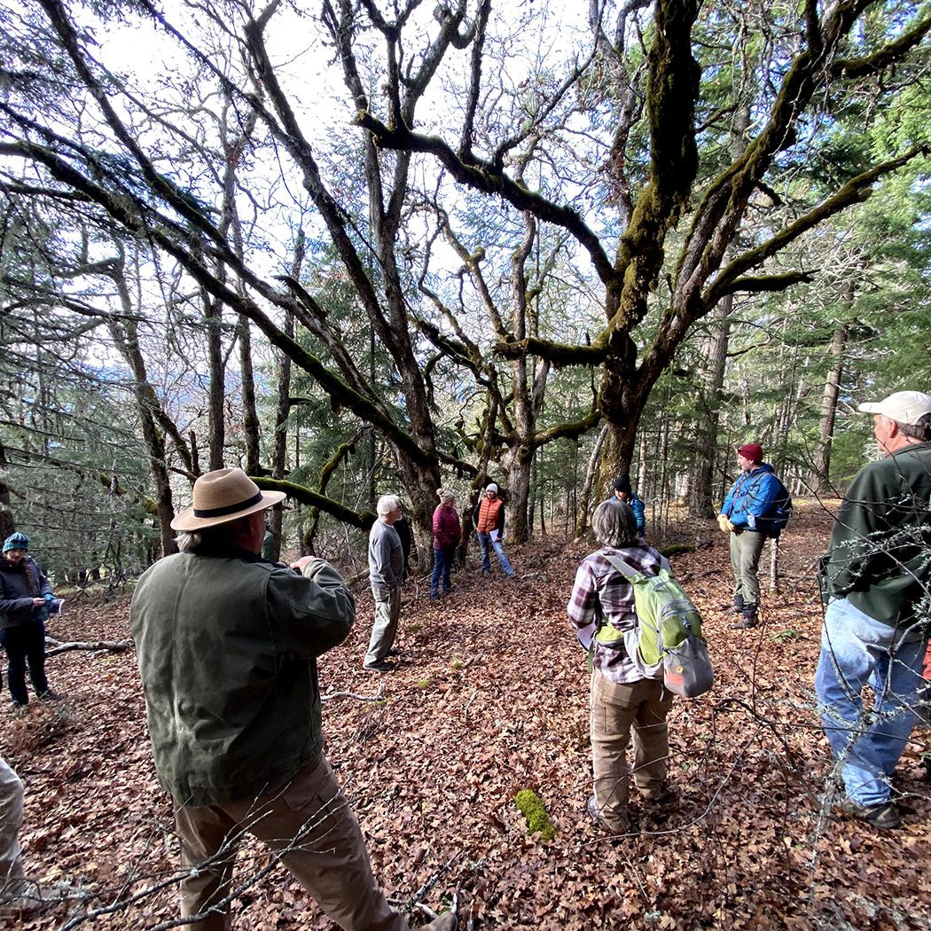 A group of people stand in a forest surrounded by tall trees with bare branches and moss. Most are wearing jackets and hats, listening to a person in a wide-brimmed hat who appears to be leading a discussion.