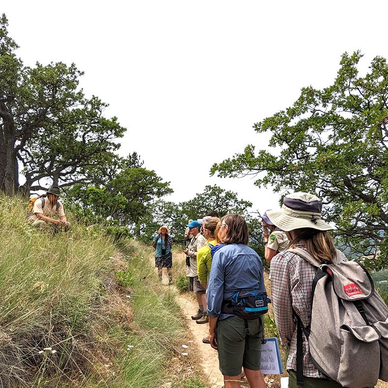 A group of people with backpacks and hats walk along a narrow dirt trail through grassy, wooded hills under a bright sky. They are surrounded by green trees and appear to be on a guided nature hike.
